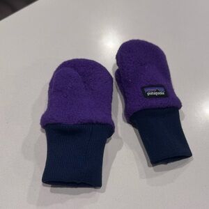 Patagonia Purple Mittens